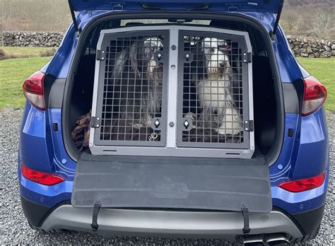 transk9|C49 Double Dog Cage